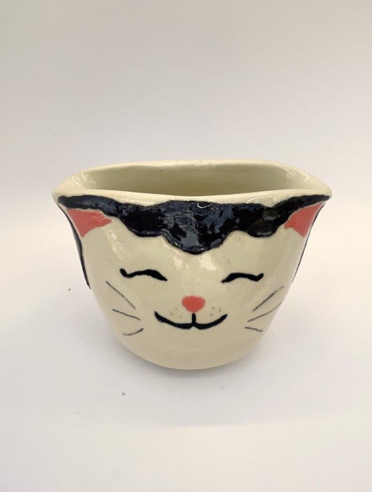 Cat Themed Pot