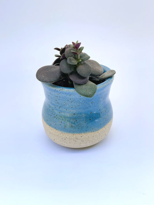 Sky-Blue Speckled Clay Pot