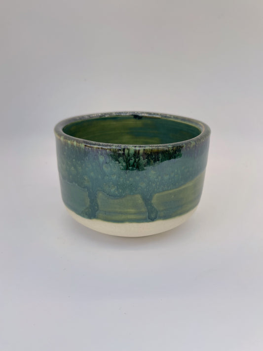 Evergreen and Olive Planter, Wide