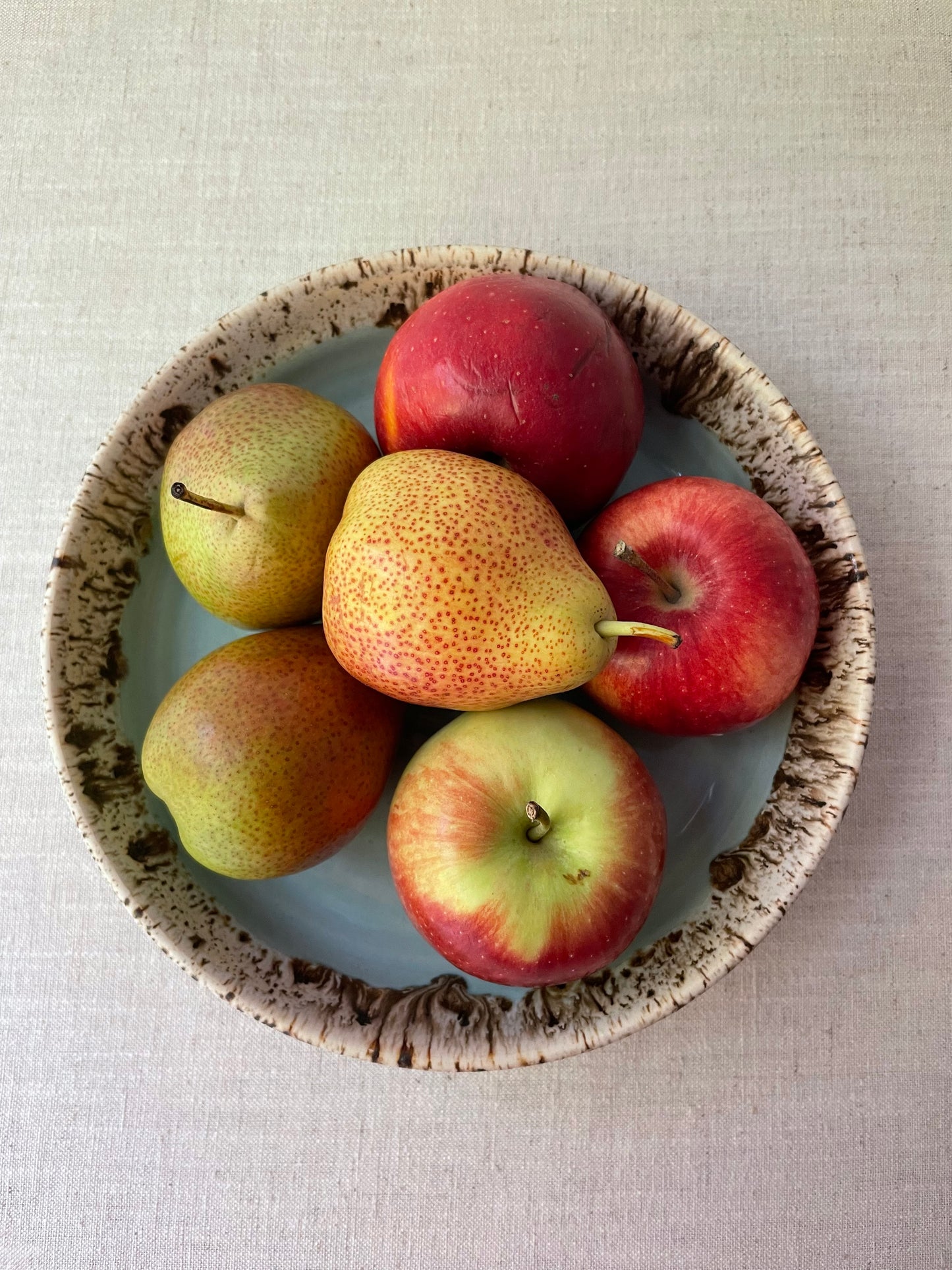 Blue and Birch Pasta Bowls, Set of 2