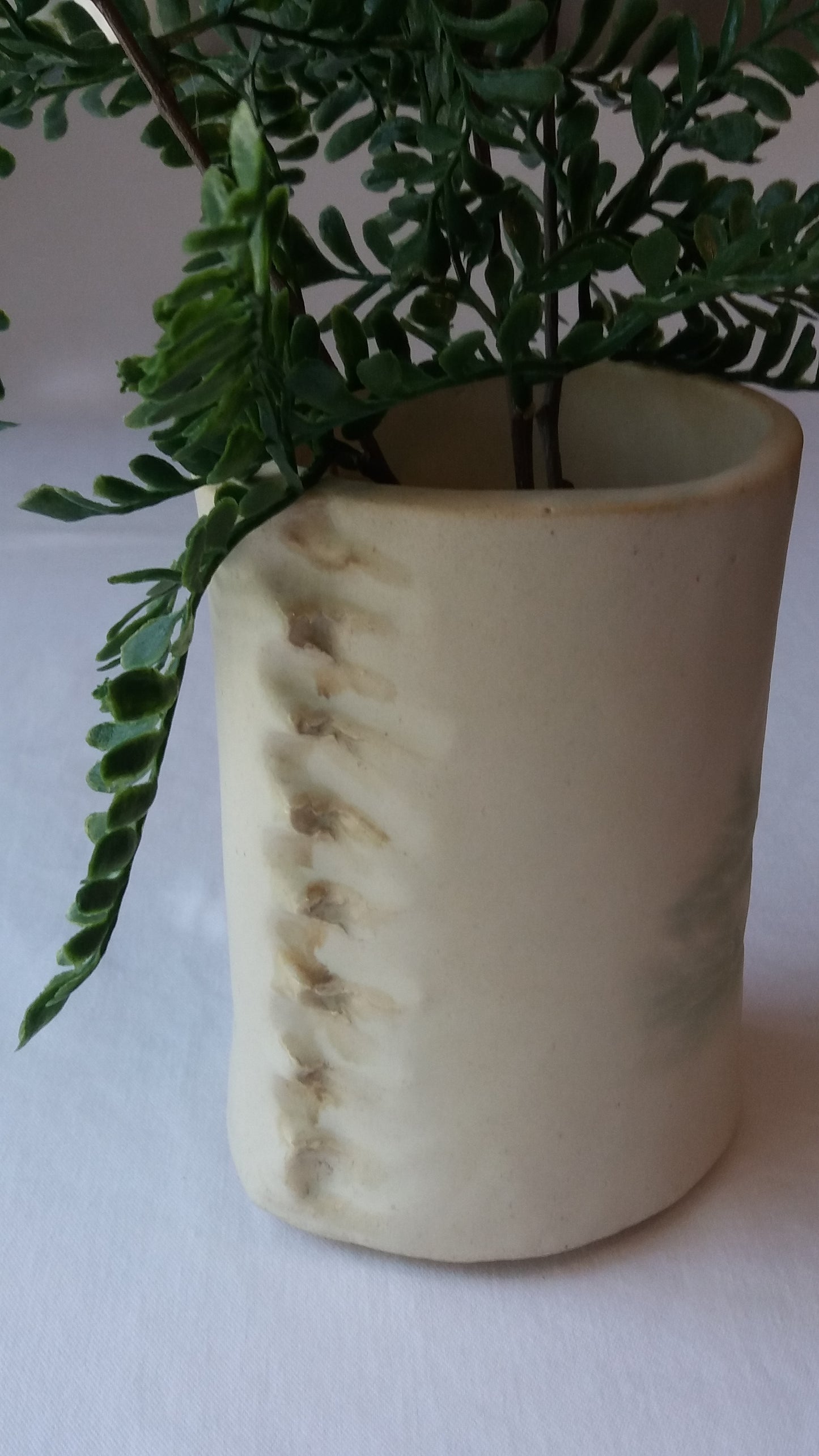 Cedar Imprint Vase